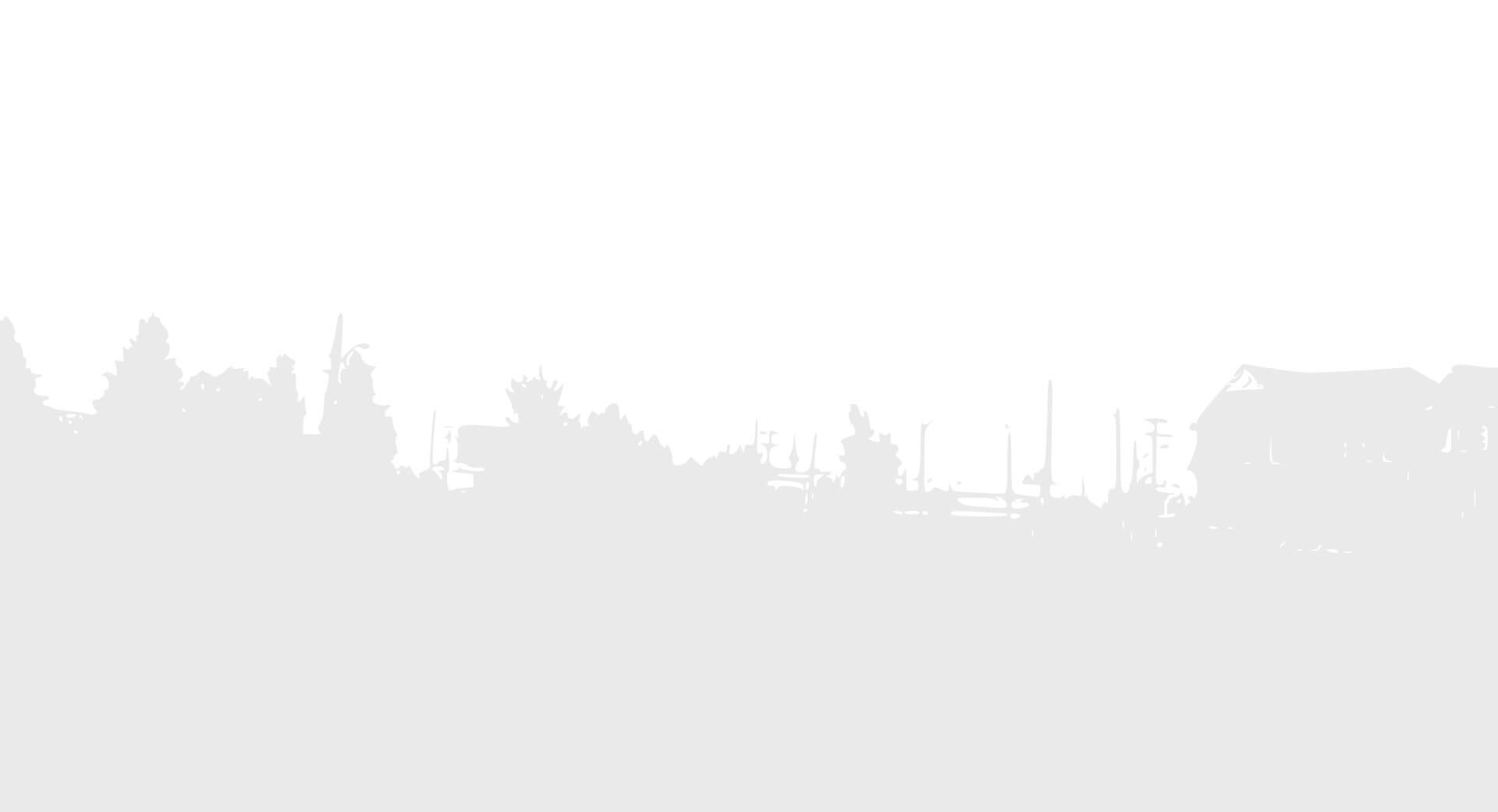 Image module