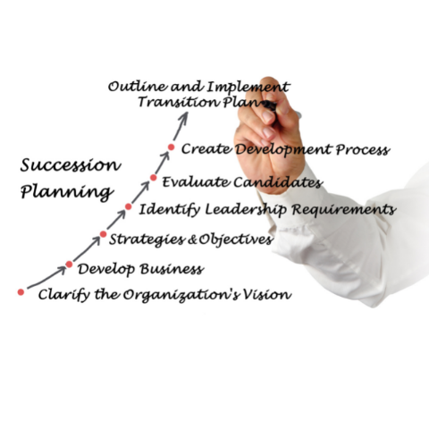 succession-planning-pitch-gambit-1_480x480